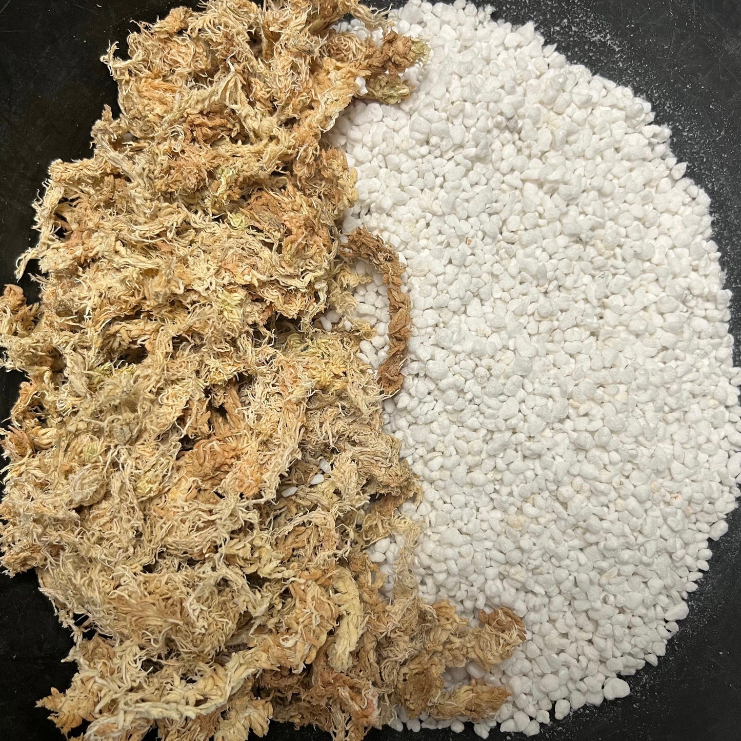 Sphagnum based potting mix