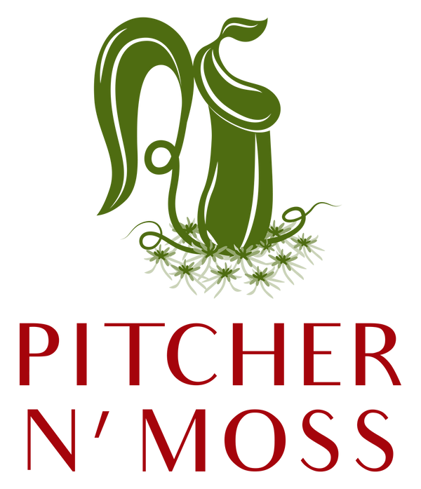 Pitcher N' Moss